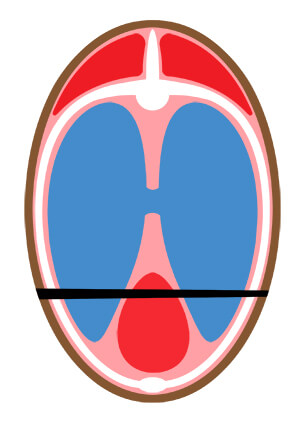 terminal ballistics