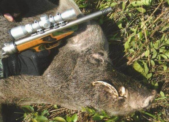 .416 diameter rifle boar